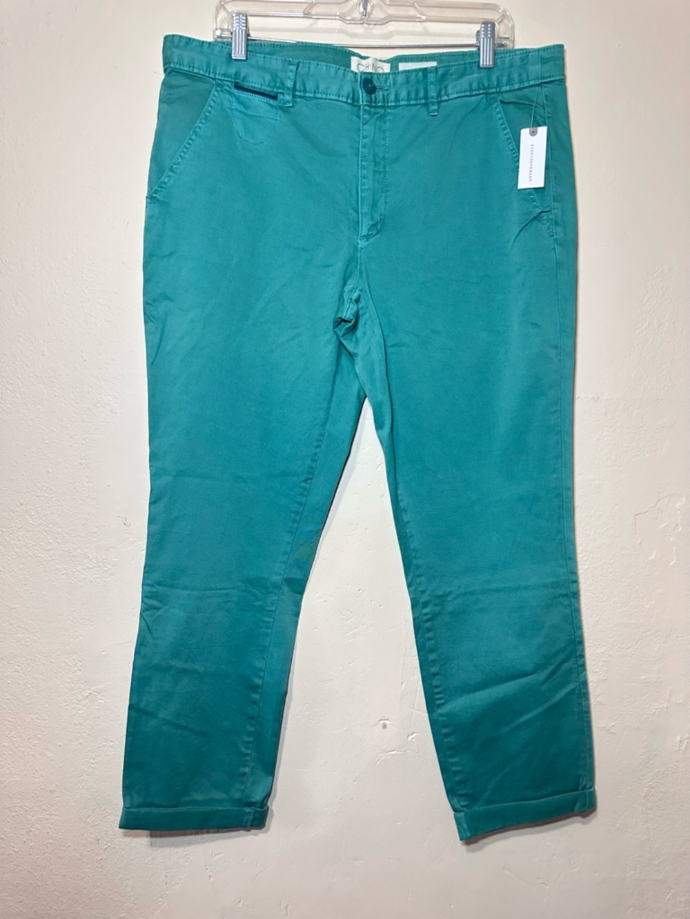 Anthropologie Chino Relaxed Pants Mint Green